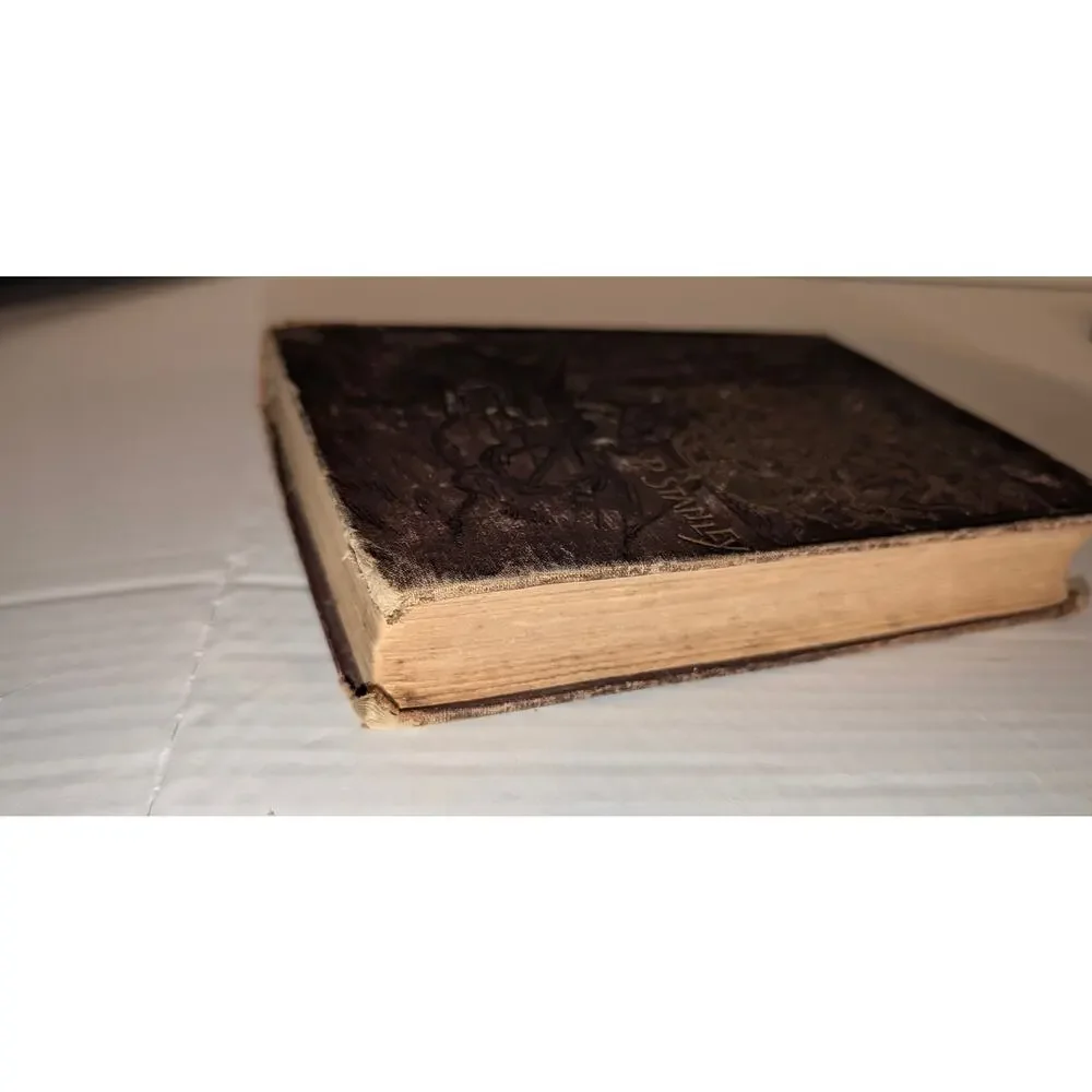 Antique 1890 Down the Bay Joe and I on Salt Water Belford Clarke HC Book